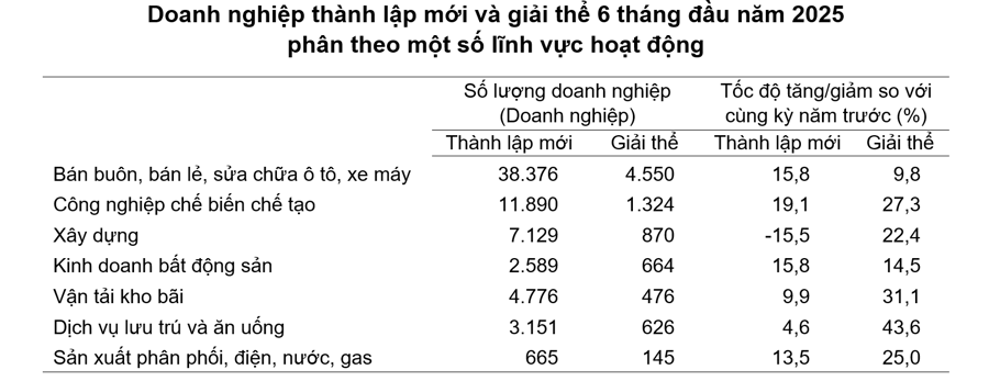 Sóng khởi nghiệp mạnh mẽ, doanh nghiệp thành lập mới tháng 6/2025 tăng cao - Ảnh 1